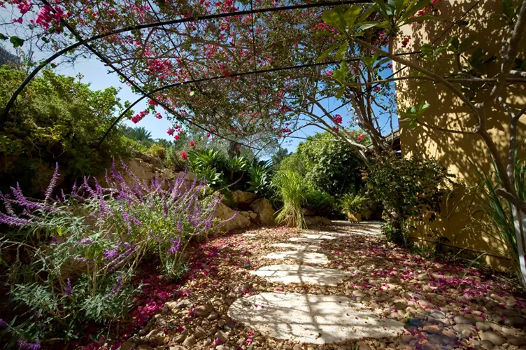 עיצוב גינה עם אבני מדרך 2